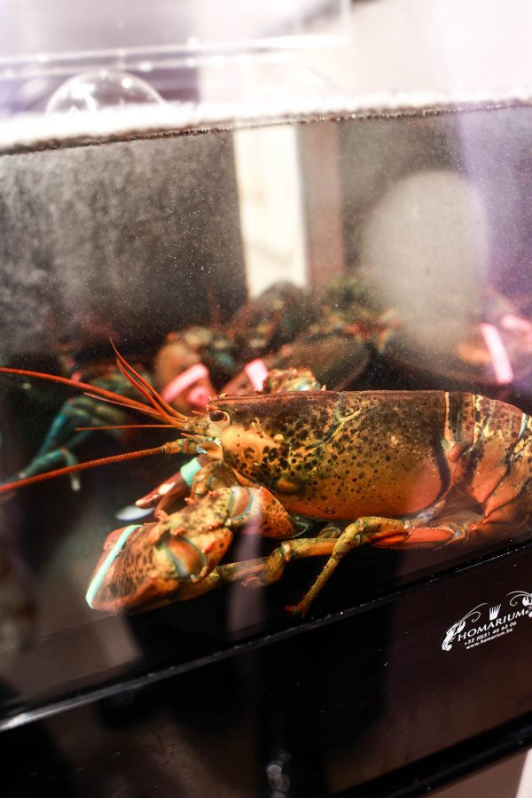 De Visbar - Aanbod (4)