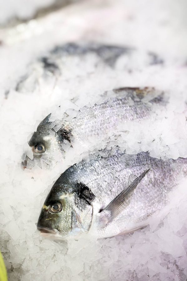 De Visbar - Aanbod (9)